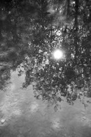 FLA_9120