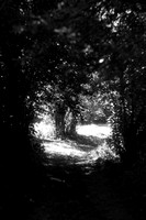 FLA_9126